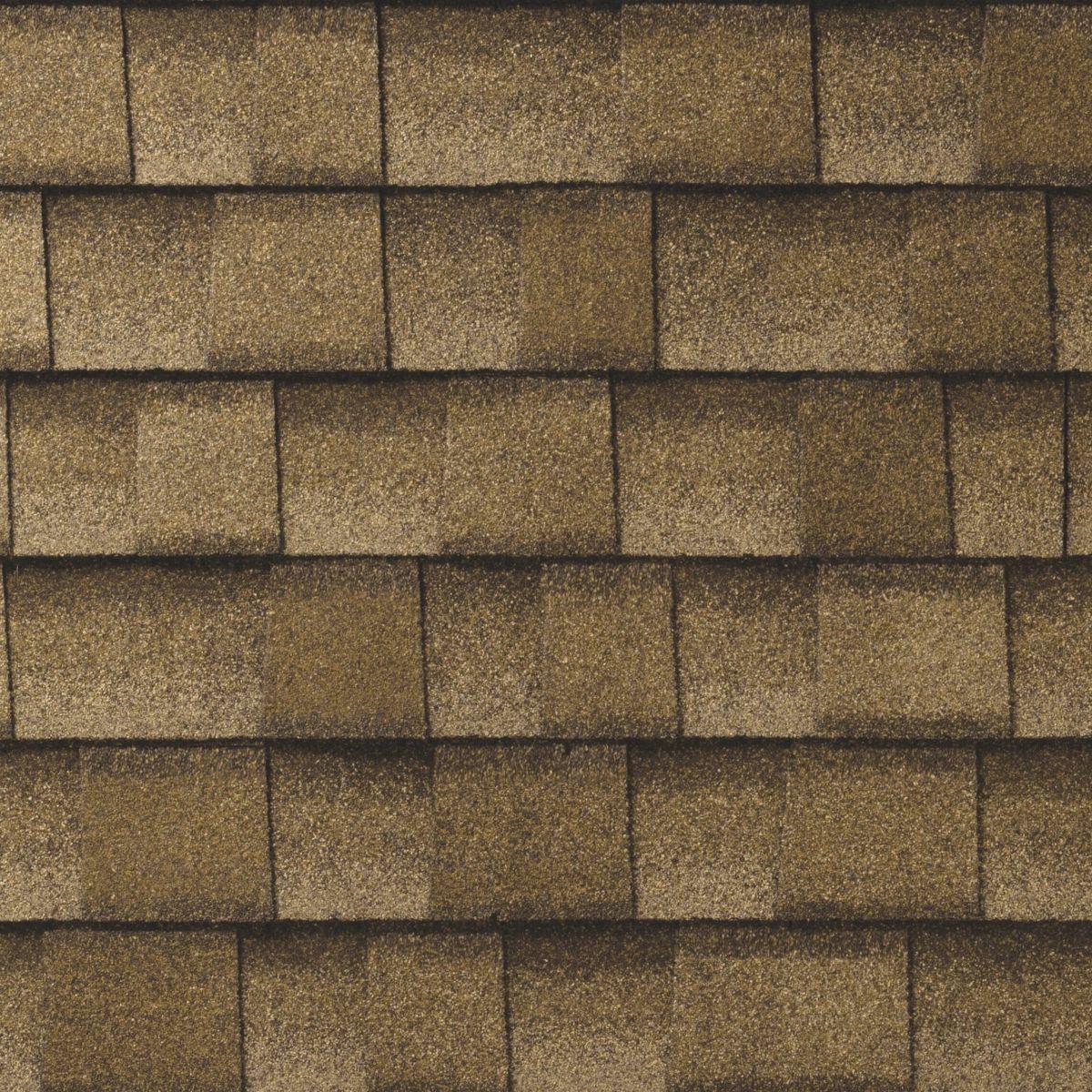 Sonntag Roofing Images