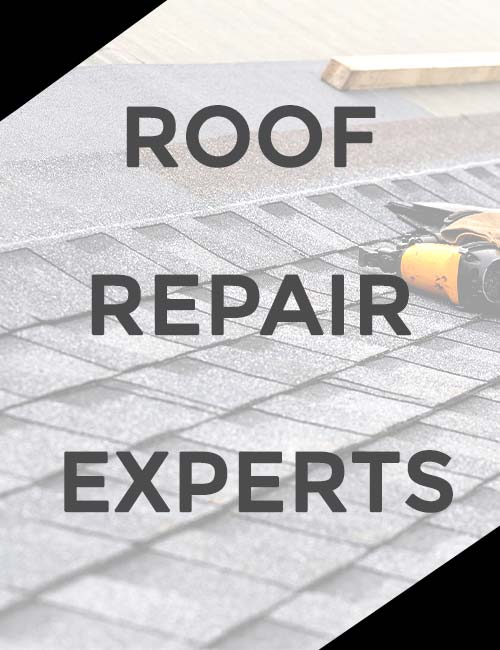 Sonntag Roofing Images