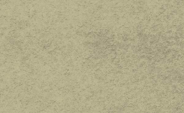 Sonntag Roofing Images