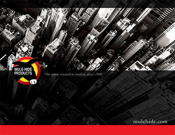 Sonntag Roofing Images