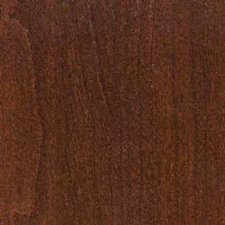 Hazelnut stain