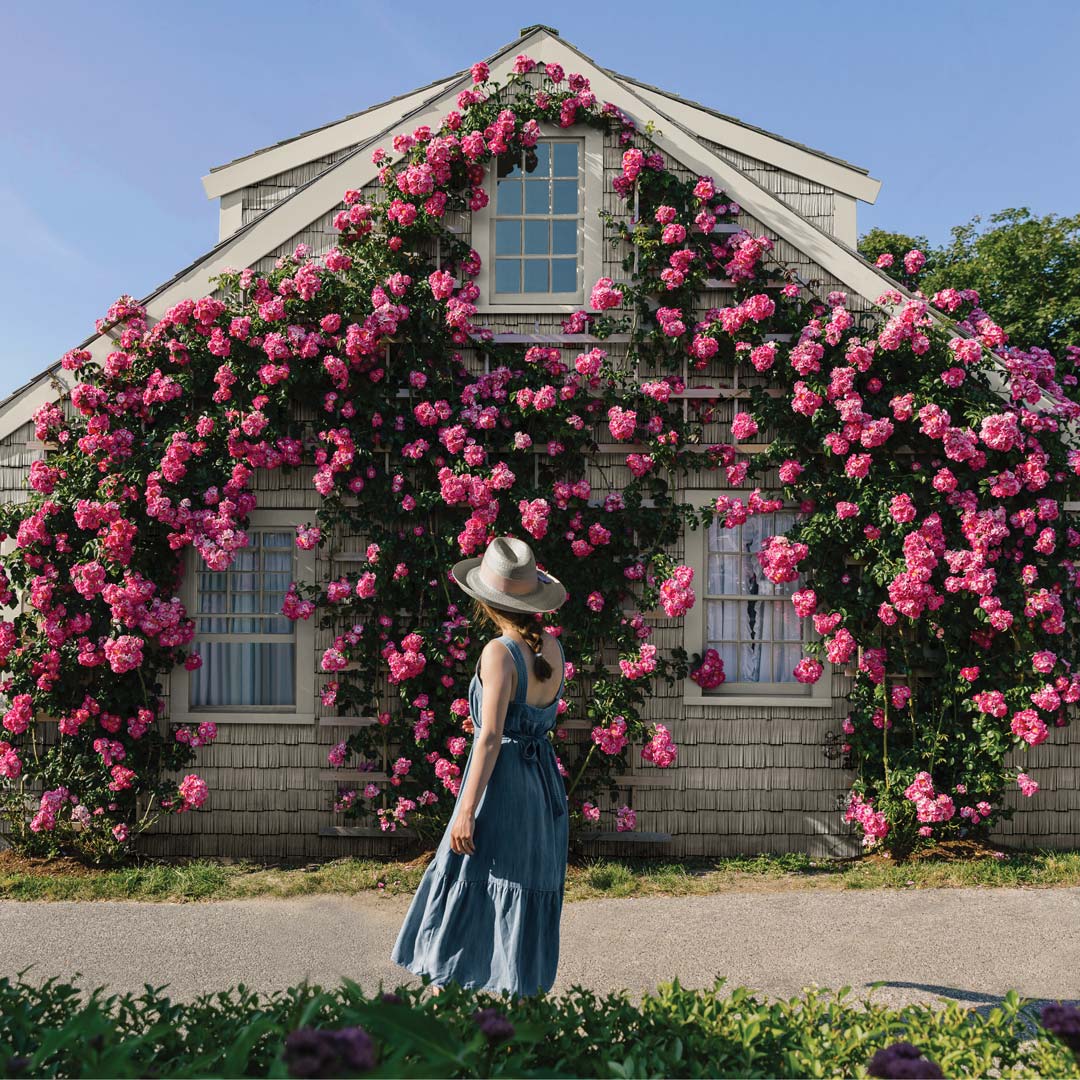 Sonntag Roofing Images