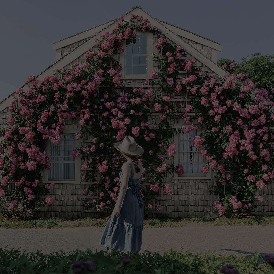 Sonntag Roofing Images