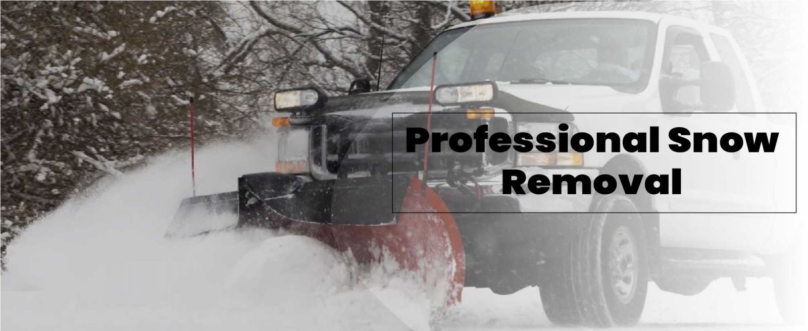 Sonntag Roofing Images