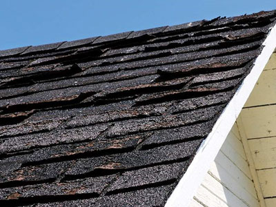 Sonntag Roofing Images